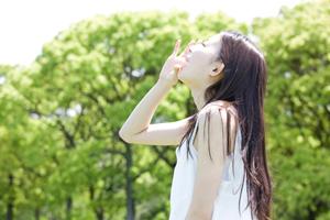 ランキングなど役立つ情報が満載のサイト